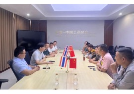 蚌商出海 共谋发展——武进区蚌埠商会商贸投资团赴泰国考察 