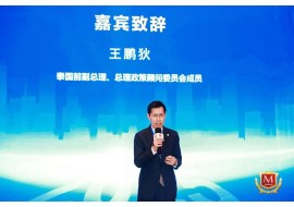 王鹏狄：数字浪潮下中泰品牌合作扬帆起航