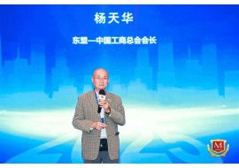 杨天华：绘就东盟—中国品牌全球化新图景