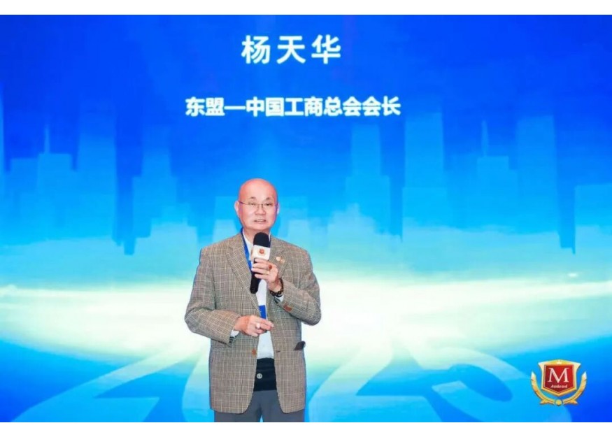 杨天华：绘就东盟—中国品牌全球化新图景