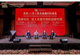 2024中国三亚公共外交论坛在海口举行