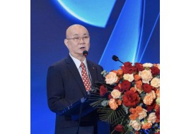 新形势下东盟与中企深化合作系统性建议：专业精准时代已经到来