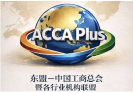 东盟-中国工商总会 暨各行业机构联盟 2026