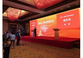 2016中国-东盟商会领袖高峰论坛